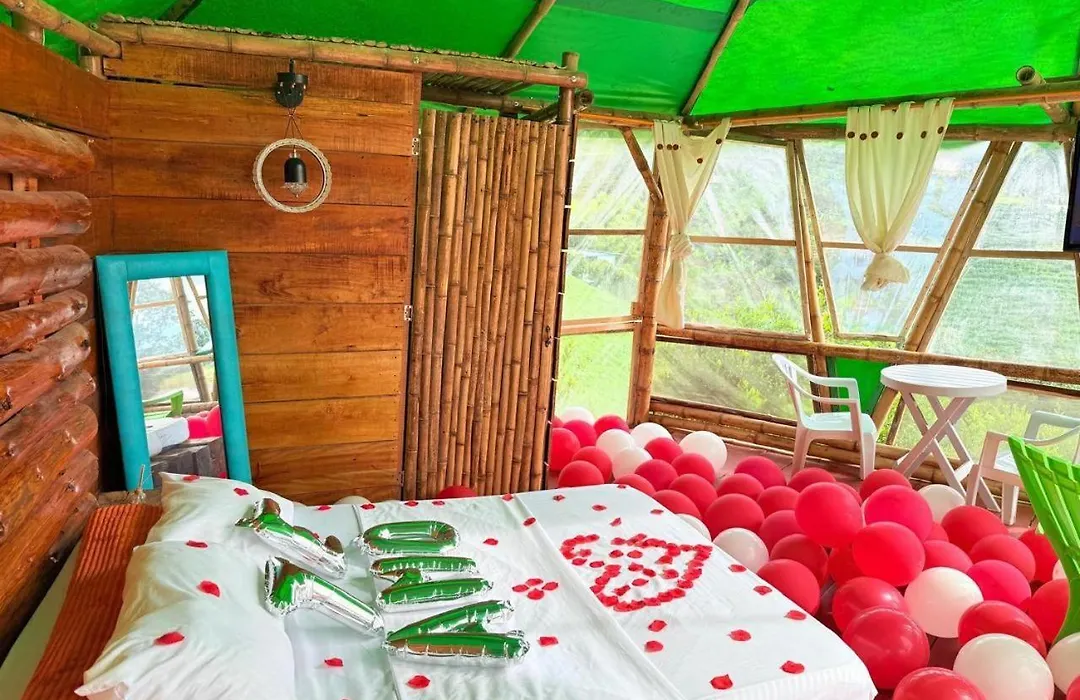 Hotel Glamping Horse-1
